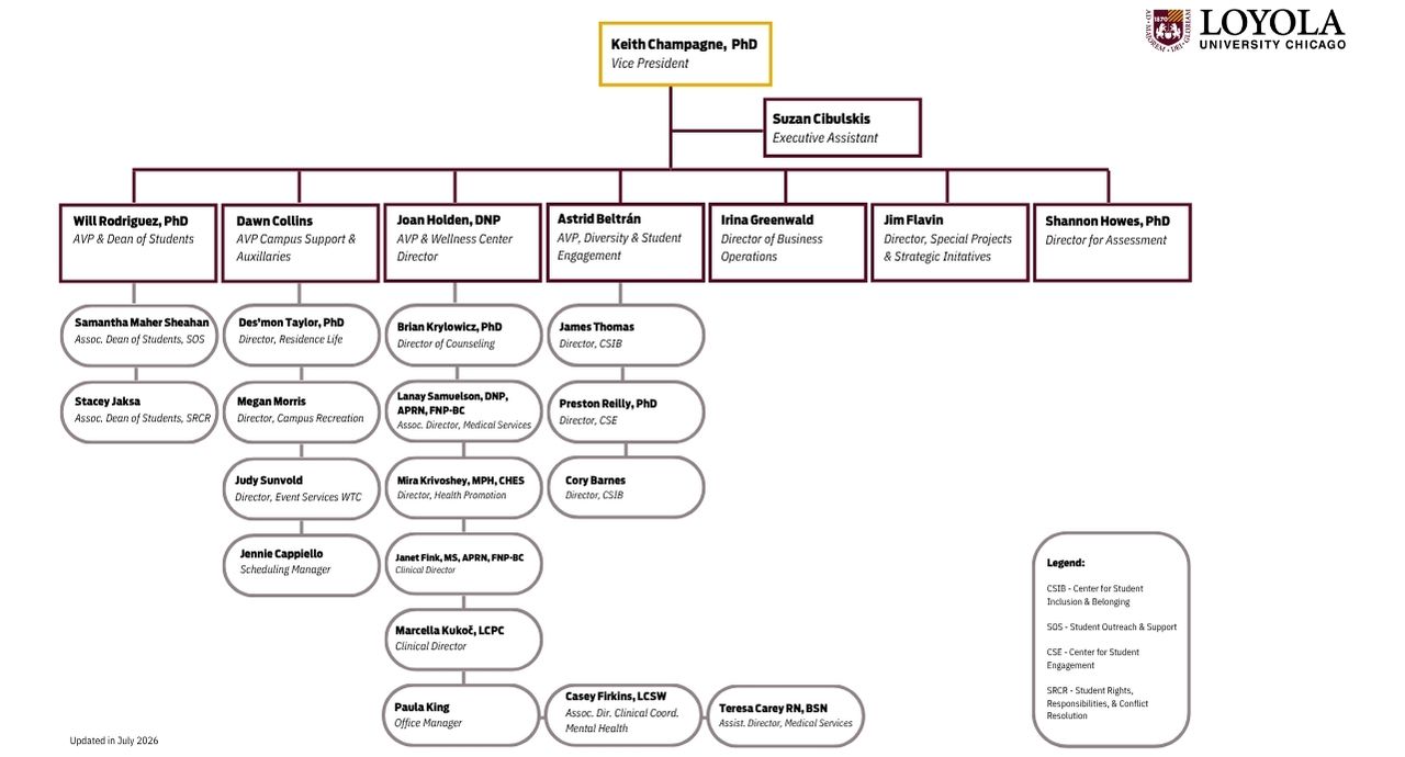 Flow chart of the DSD leadership positions, starting from vice president down to managers and coordinators. 